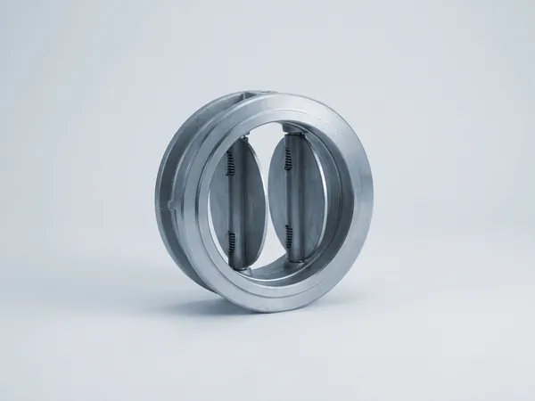 Dual plate non-return check valve